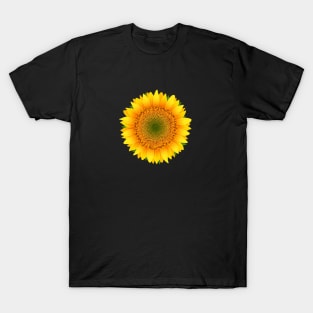 sunflower ,tournesol T-Shirt